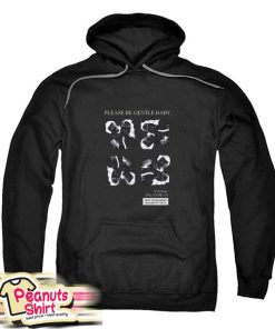 Please Be Gentle Baby Hoodie
