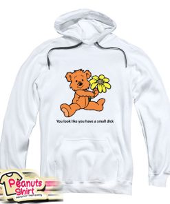 You Look Like You Have A Small Dick Hoodie
