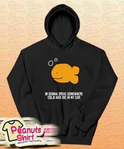 I’m Gonna Drive Somewhere Cold And Die In My Car Hoodie